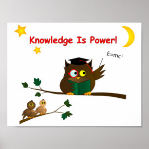Lära Wise Uggla Poster