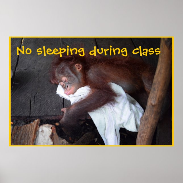 Lärare Classroom Regler Poster (Framsidan)