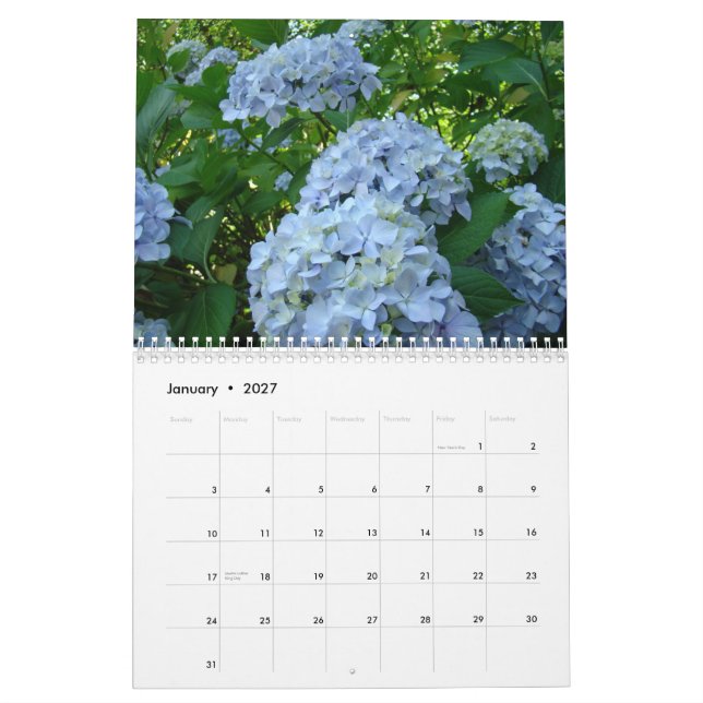 Lärare för kalender för VANLIG HORTENSIAvit (Jan 2027)