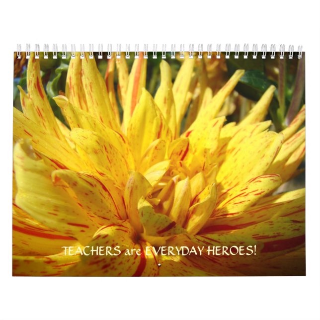 LÄRARE GÅVA KALENDER Vardags Hjältar Dahlias (Omslag)