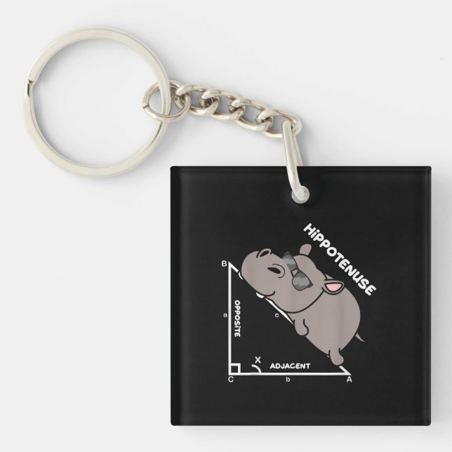 Lärare i den funktionella geometrin Hypotenuse Mat (Framsidan)
