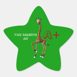 LÄRARE PRAISE STICKERS STJÄRNFORMAT KLISTERMÄRKE