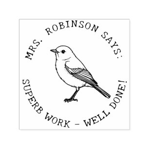 Lärare Skapar ditt eget amerikanska Robin Superb-a Självfärgande Stämpel