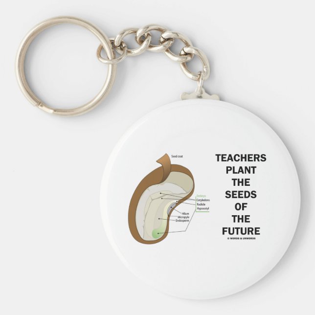 Lärare som planterar framtida utsäde (utsäde för u nyckelring (Framsidan)