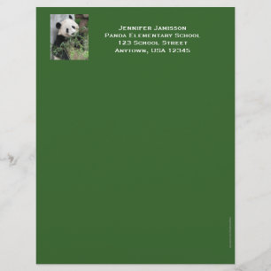 Lärarexamen, Panda, Grönt Trim Brevhuvud