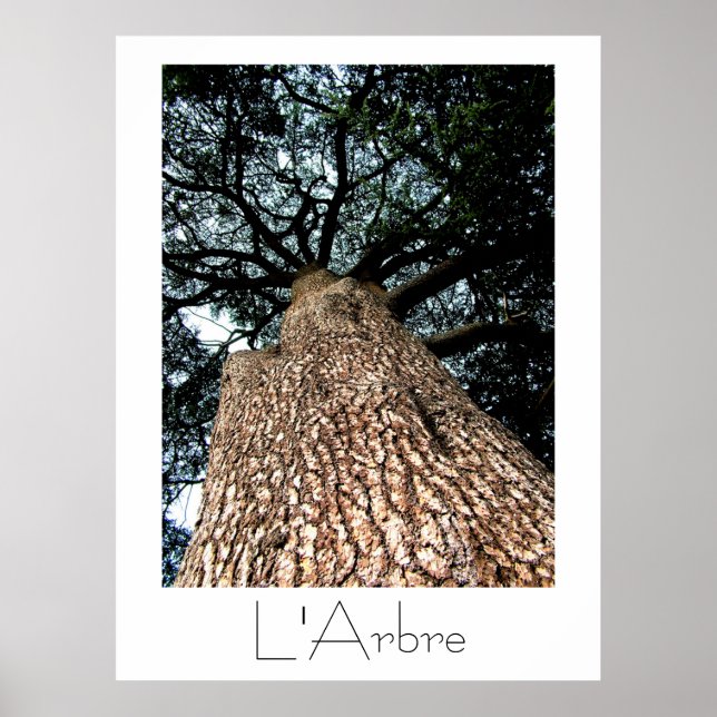 L'Arbre Poster (Framsidan)