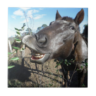 Lårbrun häst från Ansikte Kakelplatta