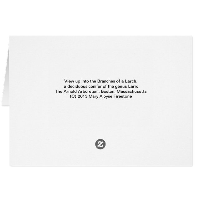 Larch Träd Hälsningskort (Baksidan Horizontal)
