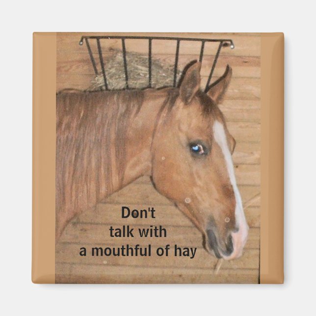 Lärdomar från Mamma - magnet (Framsidan)