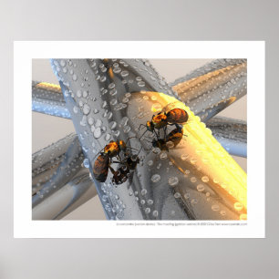 Larencontre - mötet (den guld- versionen) poster