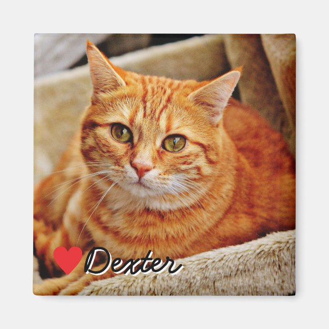 Large Personalized Pet Photo Magnet (Framsidan)