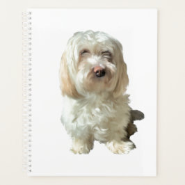 Large Planner Havanese Hund