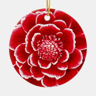 Large Red and White Dahlia Flower Julgransprydnad Keramik