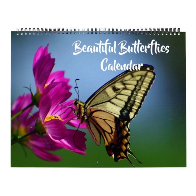 Large Size Beautiful Butterflies Calendar Kalender (Omslag)