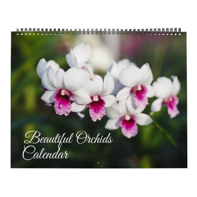 Large Size Orchids Calendar Kalender (Omslag)