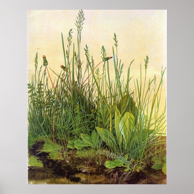 Large Turf - Albrecht Durer - c1503 Poster (Framsidan)