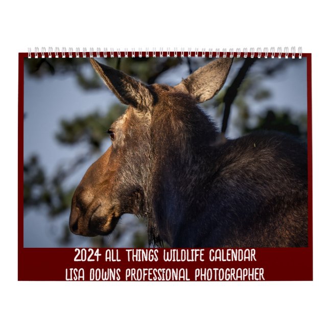 LargeCalendar med två sidor, vit Kalender (Omslag)