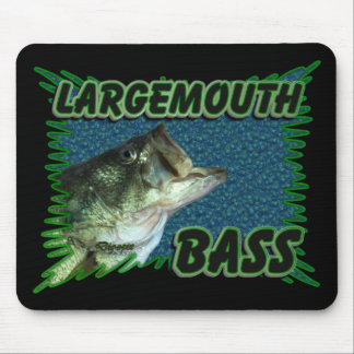 Largemouth bas musmatta