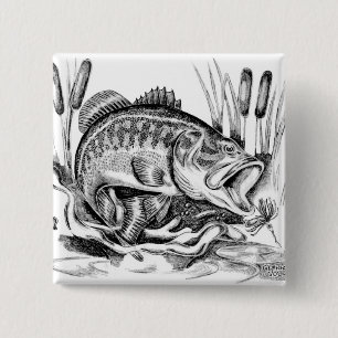Largemouth Bass Knapp