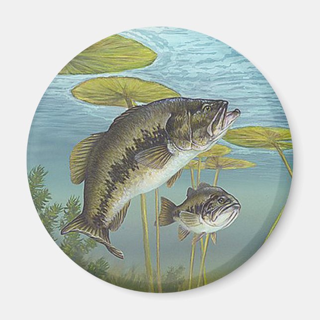 Largemouth Bass Magnet (Framsidan)