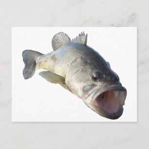 Largemouth Bass Vykort