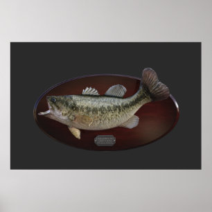 Largemouth Grönt Bass Trophy Plaque Poster