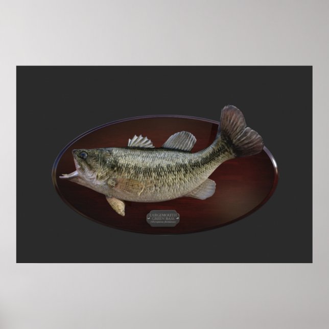 Largemouth Grönt Bass Trophy Plaque Poster (Framsidan)