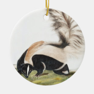 LargeTailed Skunk Mephitis macroura Illustration Julgransprydnad Keramik