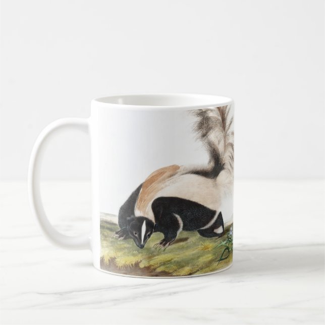 LargeTailed Skunk Mephitis macroura Illustration Kaffemugg (Vänster)