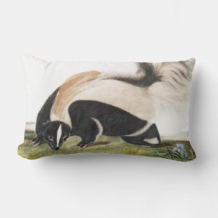 LargeTailed Skunk Mephitis macroura Illustration Lumbarkudde