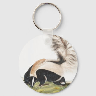 LargeTailed Skunk Mephitis macroura Illustration Nyckelring