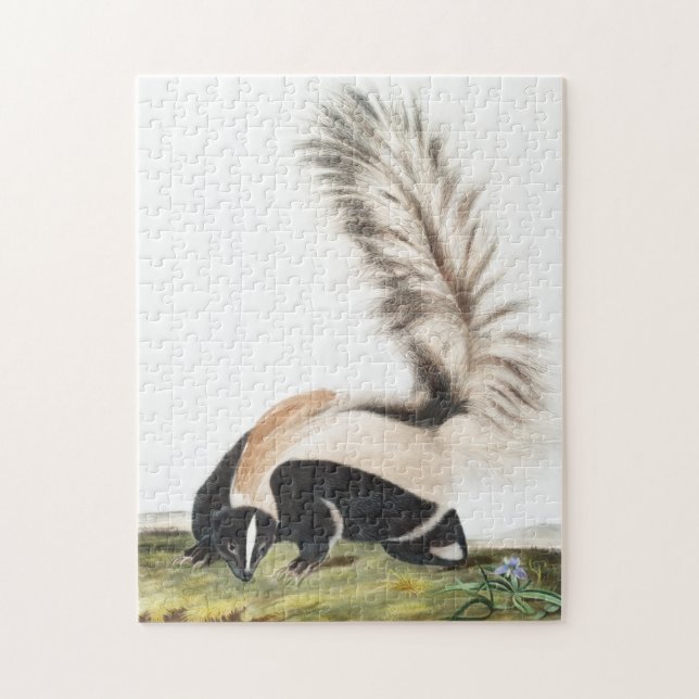LargeTailed Skunk Mephitis macroura Illustration Pussel (Vertikal)