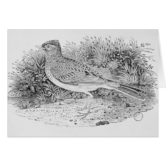 Lärkan Hälsningskort (Framsidan Horizontal)