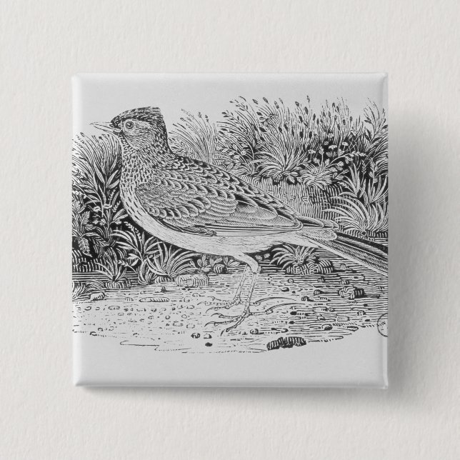 Lärkan Knapp (Framsida)