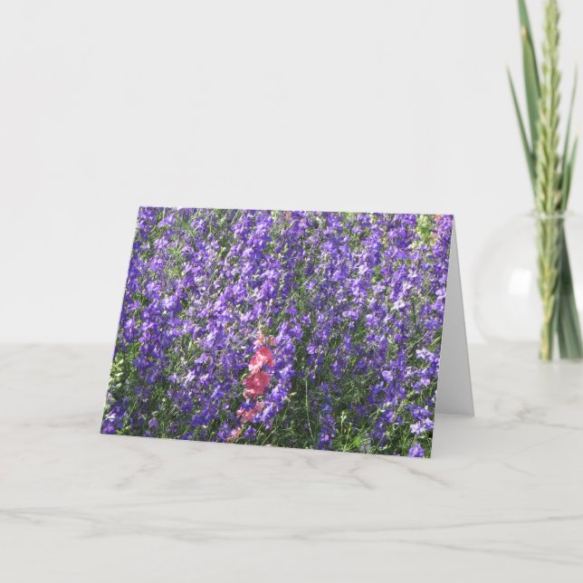 Larkspurs Kort (Framsida)