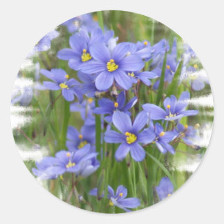 Larkspurs Runt Klistermärke