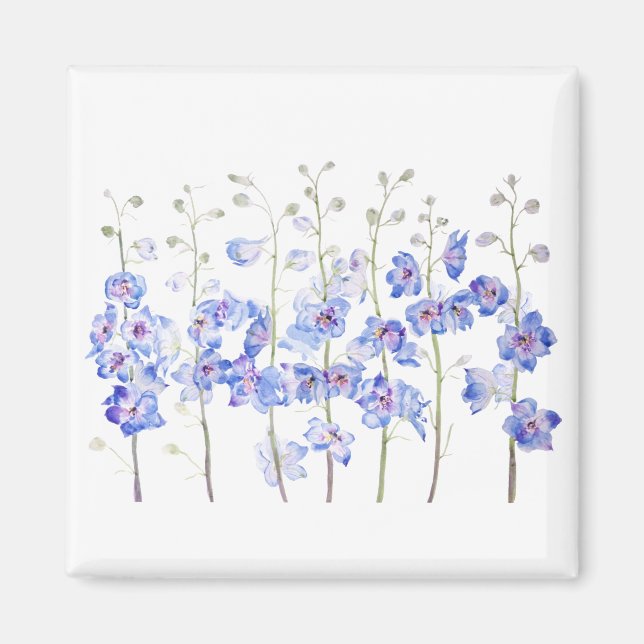 larkspurt magnet (Framsidan)