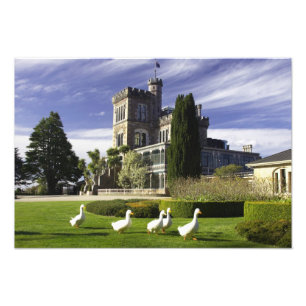 Larnach Castle, Otago-halvön, Dunedin, Fototryck