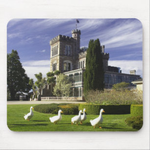 Larnach Castle, Otago-halvön, Dunedin, Musmatta