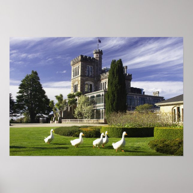 Larnach Castle, Otago Peninsula, Dunedin Poster (Framsidan)