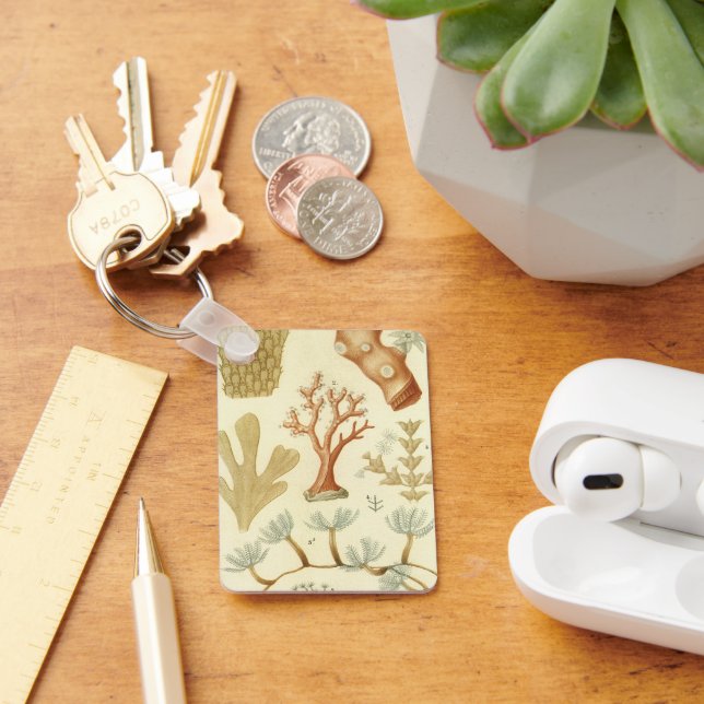 Lärobok i biologi, gamla koralldjur nyckelring (Skrivbord)