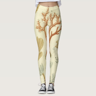Lärobok i naturvetenskap Biologi, Antika koralldju Leggings