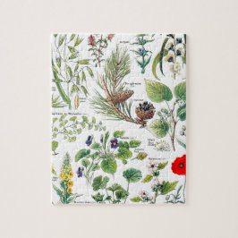 Larousse planterar calmantes, emollientes, pussel