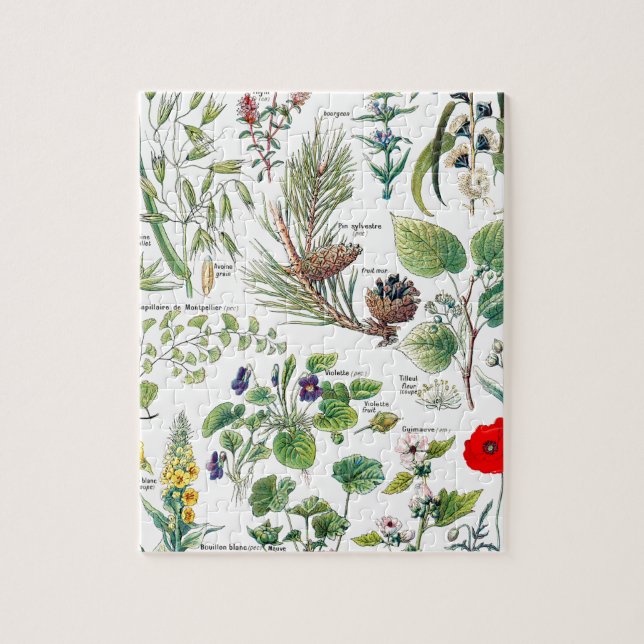 Larousse planterar calmantes, emollientes, pussel (Vertikal)