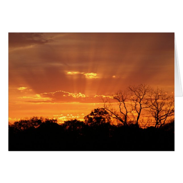 Larry Coressel ’himmelsk sunset’ Hälsningskort (Framsidan Horizontal)