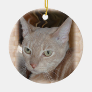 Larry den keramiska prydnaden för katt julgransprydnad keramik