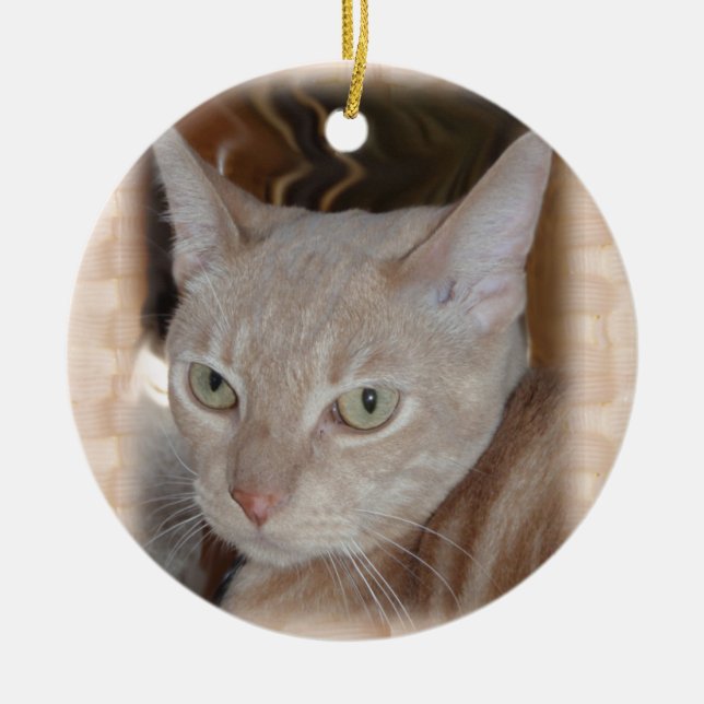 Larry den keramiska prydnaden för katt julgransprydnad keramik (Framsidan)