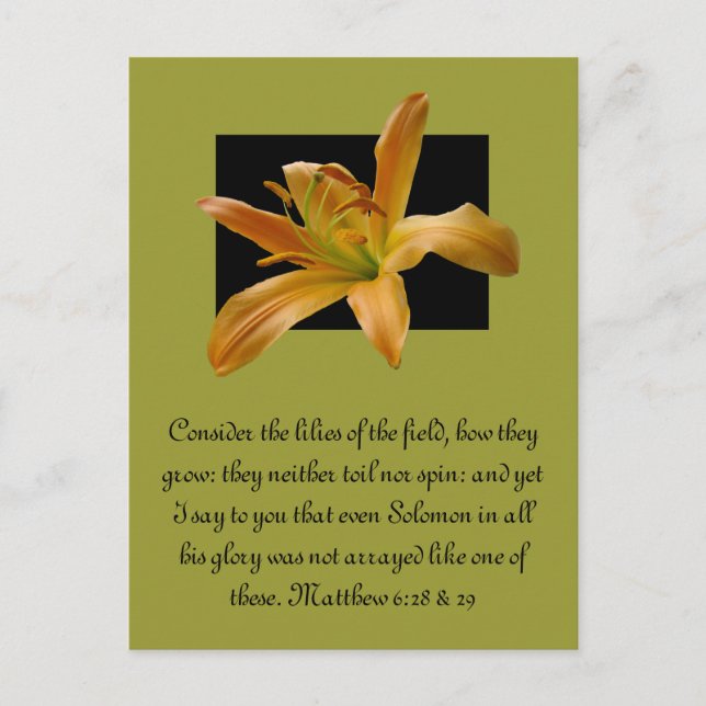 Larry Orange Lily Vykort (Framsida)