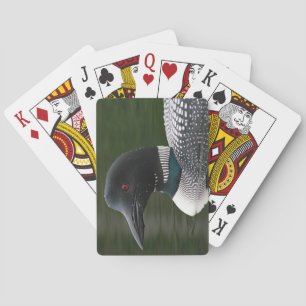 Lås Casinokort