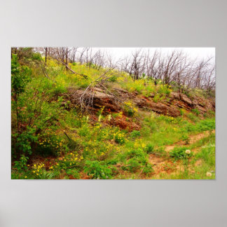 Lås efter brand poster